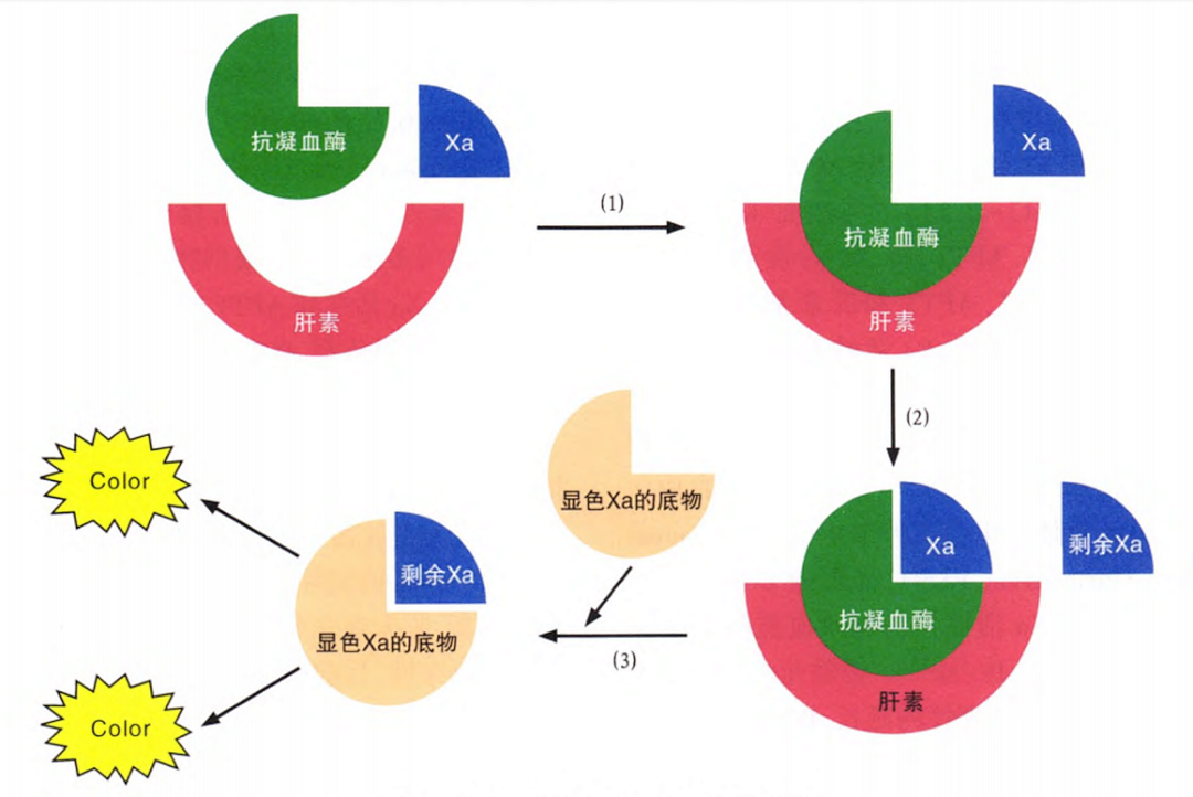 國(guó)產(chǎn)抗Xa質(zhì)量如何？多中心臨床研究來(lái)告訴你！